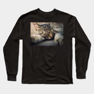 sleeping cat Long Sleeve T-Shirt